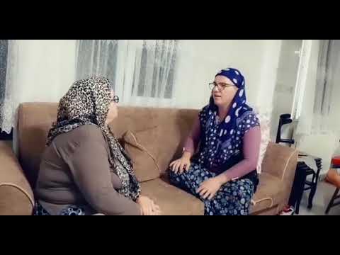 Mago Aba - Motrasi Sado