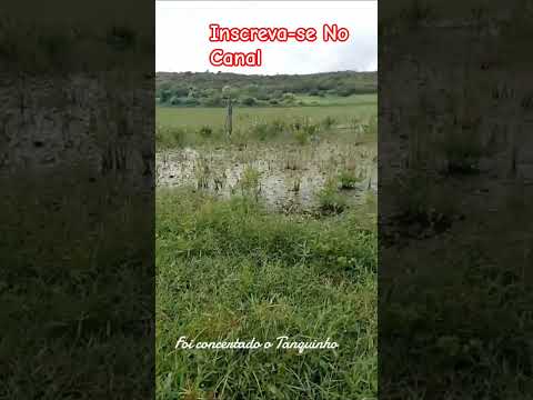 #sitio #agro#imaculada #paraiba #portugal