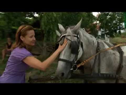 Balatonederics, Idrányi puszta