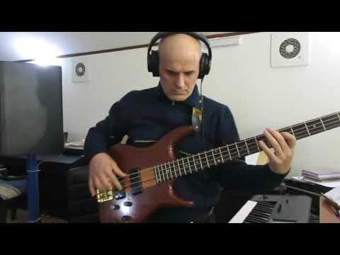 Per colpa di chi (Zucchero Fornaciari) - bass cover
