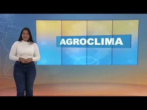 Terça-feira será gelada em áreas do Paraná, São Paulo e Mato Grosso do Sul  | 12/05/2026
