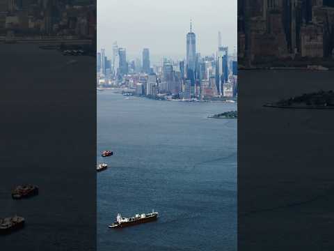 Collision course Ship strikes jeopardize endangered North Atlantic right whale shorts whale