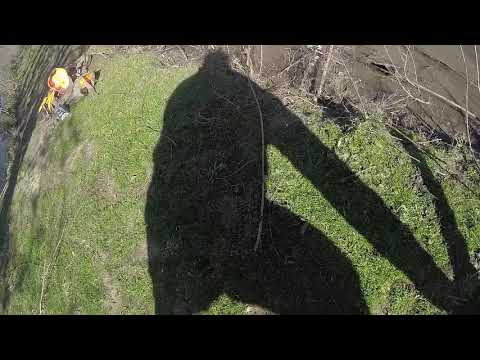 Nikko Duck Retrieve 2 Dec 2018