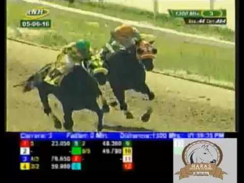 LA RINCONADA 3 CARRERA, DOMINGO 05 DE JUNIO DEL 2016