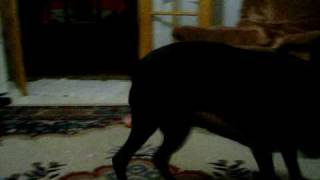 China Belle Acting Crazy Part One