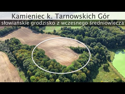 grodzisko wczesnośredniowieczne w Kamieńcu k. Tarnowskich Gór