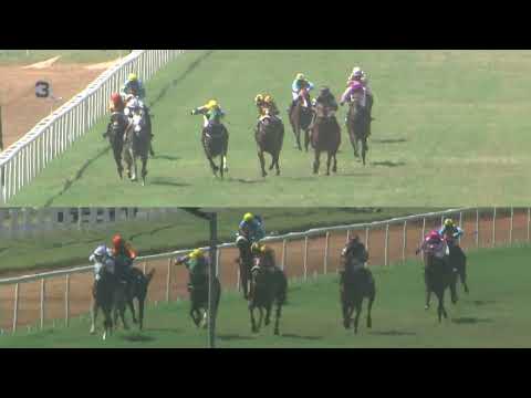 RACE NO 1 THE TOTALIZATOR CUP DIV III (89)