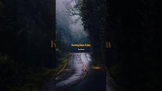 Download lagu Kesepian Kita - Pas Band #statusharian #kutipanlagu #liriklagu #quotestory #statuswa mp3 Download lagu Kesepian Kita - Pas Band #statusharian #kutipanlagu #liriklagu #quotestory #statuswa mp3