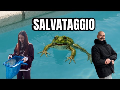 Ilaria Rimoldi and I SAVED a FROG in DANGER + FEEDED ANIMALS