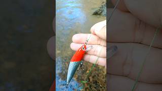 Download lagu seperti ini cara mudah mengikat umpan minnow #minnow #lure #umpan #umpanjitu #casting #spinning mp3