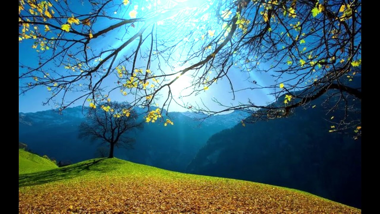 O CÉU: SONHOS DE DOM BOSCO (MEDITAÇÃO E EXORTAÇÃO)