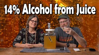 14% White Grape Juice Wine from Juice - Step Feed Wine
