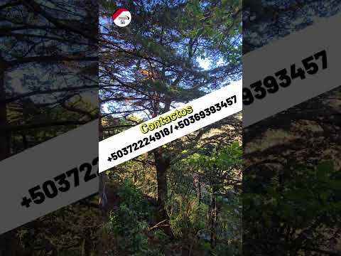 1 Manzana de terreno en La Palma Chalatenango, ideal para proyecto de Ecoturismo y agrícola.