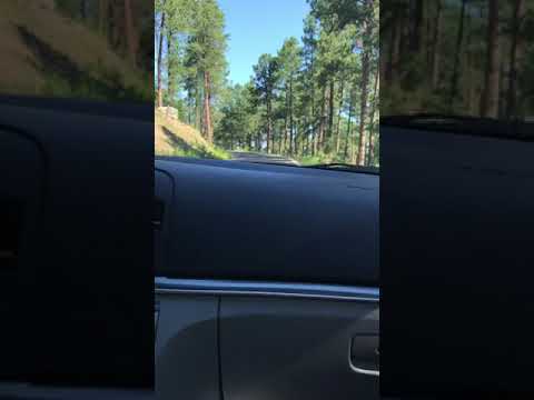 Rapid City South Dakota