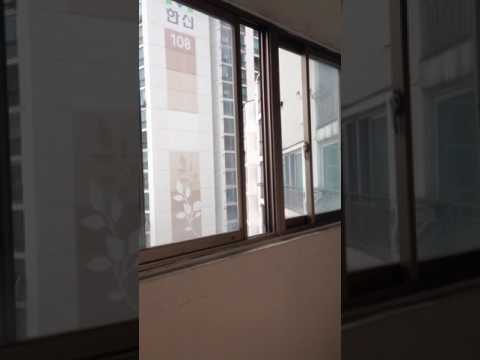 Singing Cicada on my apartment