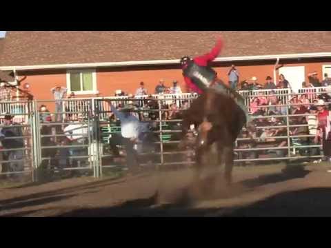 Parsnip scores 83 on E.W.'s Bonnes