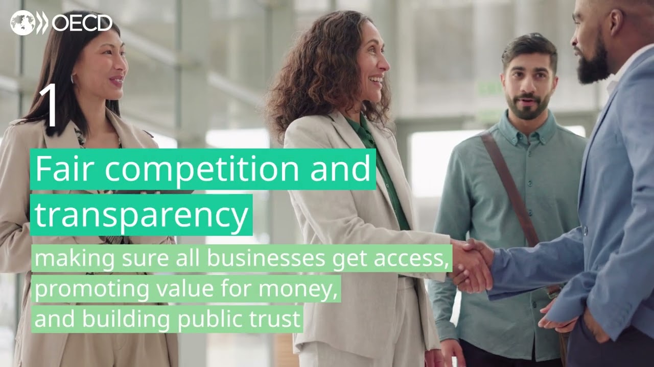 Implementing the OECD Recommendation on Public Procurement: 2020-2024 Report