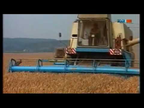 Die Erben der Kombinate - Vom Überlebenskampf der Ostbetriebe (1 von 3)