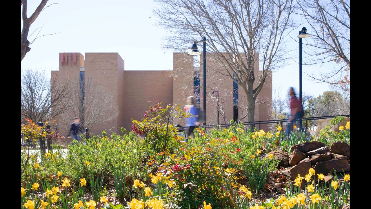 Welcome to the UNT  Libraries