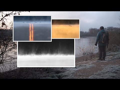 Gänse sind keine Schwäne - NATURFOTOGRAFIE am dampfenden SEE