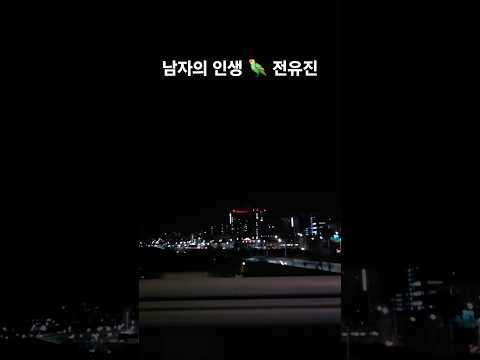 #남자의인생#전유진 #신작뮤비#한강야경