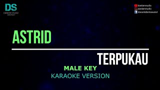Download lagu Astrid - terpukau (karaoke version) MALE KEY mp3