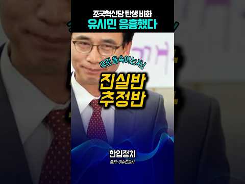 유시민 거짓말. 조국혁신탕 탄생, 합당시도 주체