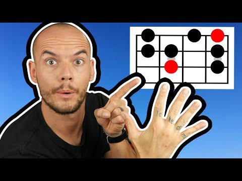 5 TONLEITER FAKTEN für Bass Anfänger