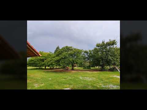 LG V50 Thinq Camera Test 2022 Shot On LG V50 Thinq 5G SD 855 Antutu 550 000