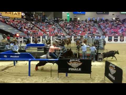 Scary moment at the World Series of Team Roping in Las Vegas: A horse falls and takes down its rider