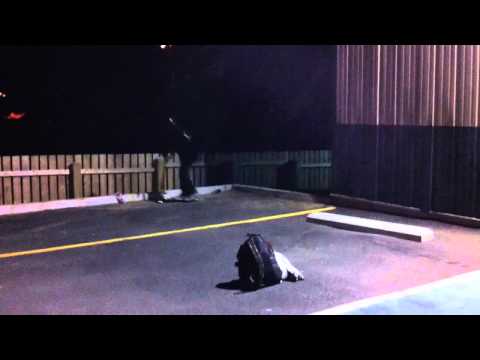 YOU WANNA SEE MERC TOWN???