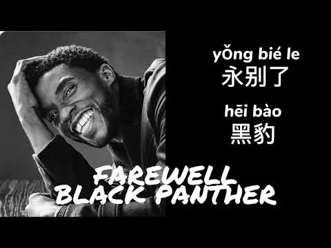 永別了黑豹