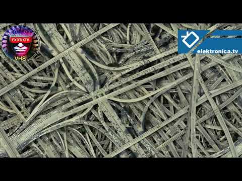 Elektronica.tv - MAX COOPER - Repetitivo - exotixtv