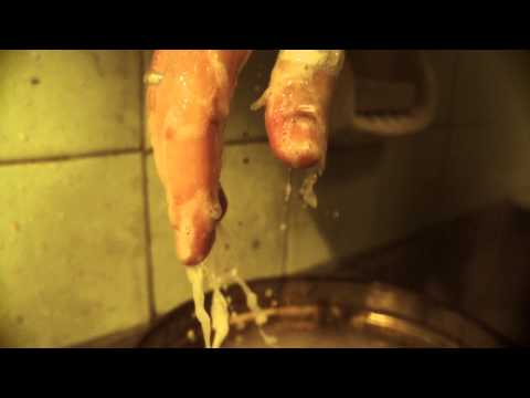 FIGHT X (FIGHT CLUB-AMERICAN HISTORY X in 60'')