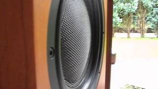 B&W 804 & Velodyne HGS 12 Charly Antolini, knock out auf Jeton