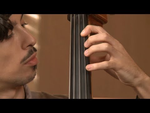 Upright Bass Technique 101  - Lesson 8  : First Position Alternating Exercise
