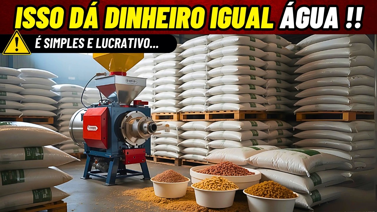 13 Negócios que POUCA GENTE PENSA, mas que Dão Dinheiro
