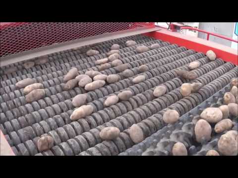Potato Seed Cutters