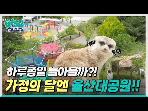 [생방송 0!52] 하루 종일, 놀아볼까? 울산대공원!