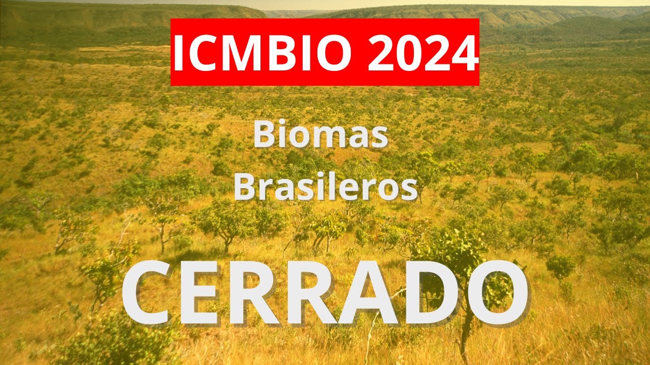ICMBIO 2024 - Biomas Brasileiros: Aula 03- Cerrado