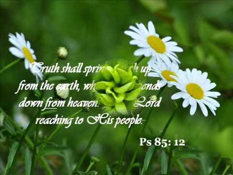 Responsorial Psalm - Psalm 85 Prayer for Divine Favor
