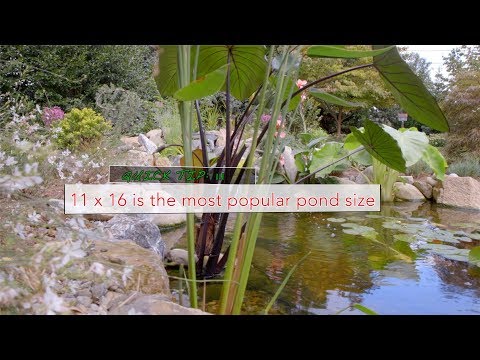 QUICK TIPS FROM TURPIN 111: The 11x16 pond