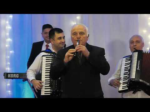 Vitomir Stanojević - Đerdapski vrtlog