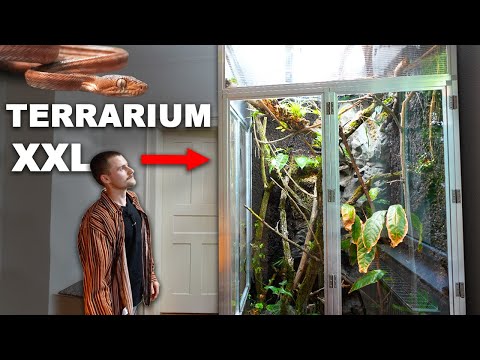 Flo's XXL TERRARIUM in her living room is finished!! - Animals can move in today *Extreme hobby*