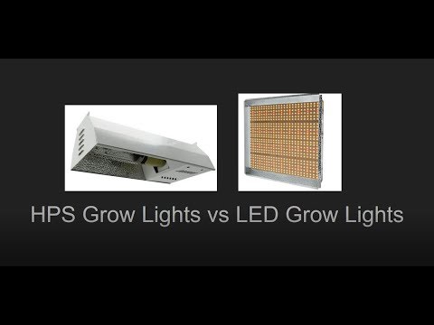 HPS Grow Lights vs LED Grow Lights