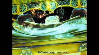 Download - Chrysanthemum