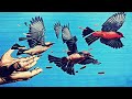 Sparklehorse - Hundreds of Sparrows (Live at Butlins Holiday Resort, Minehead, England, 2007)