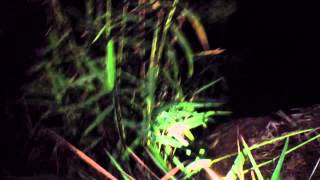 RỪNG XÁC SỐNG - THE LOST TOUR: VIETNAM - TRAILER CHÍNH THỨC