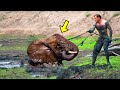 Man Saves Drowning Elephant, Then The Herd Does Something Incredible!