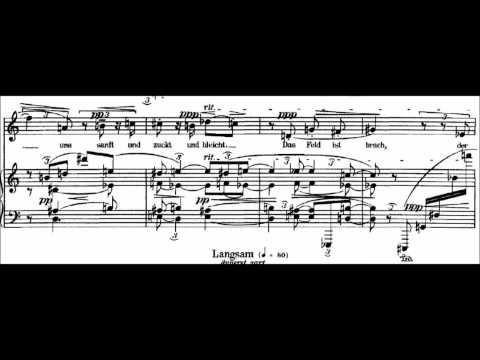 Anton Webern An bachesranft op .3,3.wmv